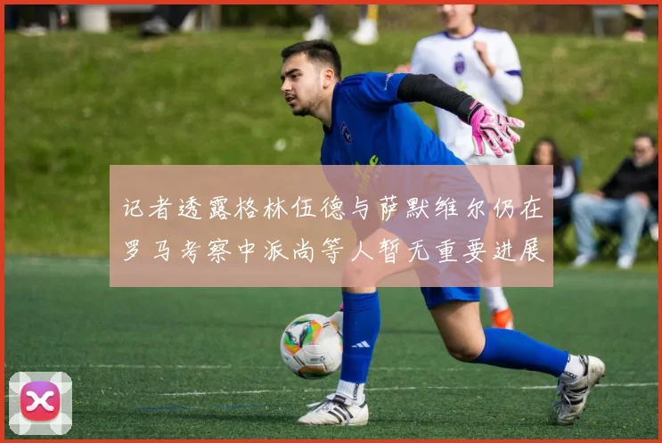 记者透露格林伍德与萨默维尔仍在罗马考察中派尚等人暂无重要进展消息